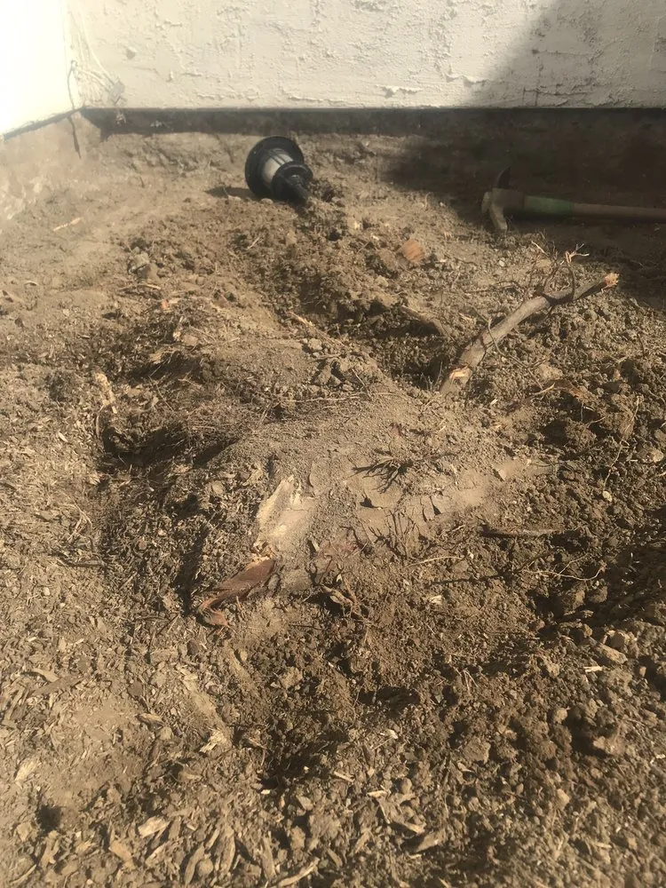 Trusted lawn mowing service experts serving Fullerton, CA - Reyes Professional Tree Services