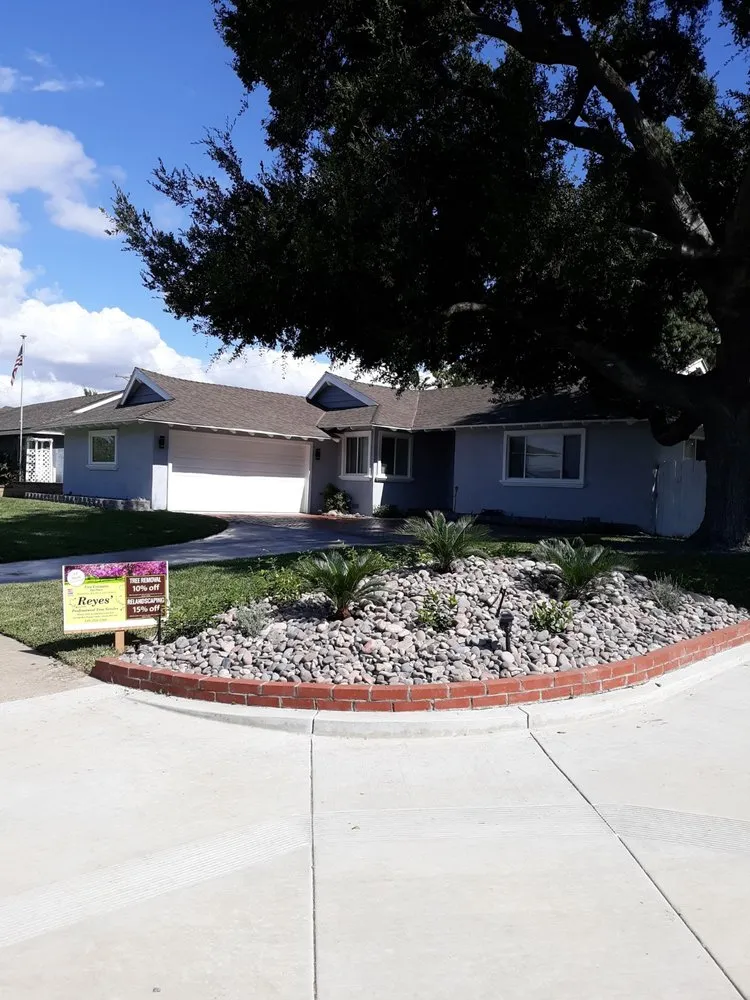 Trusted yard maintenance in Fullerton, CA by Reyes Professional Tree Services