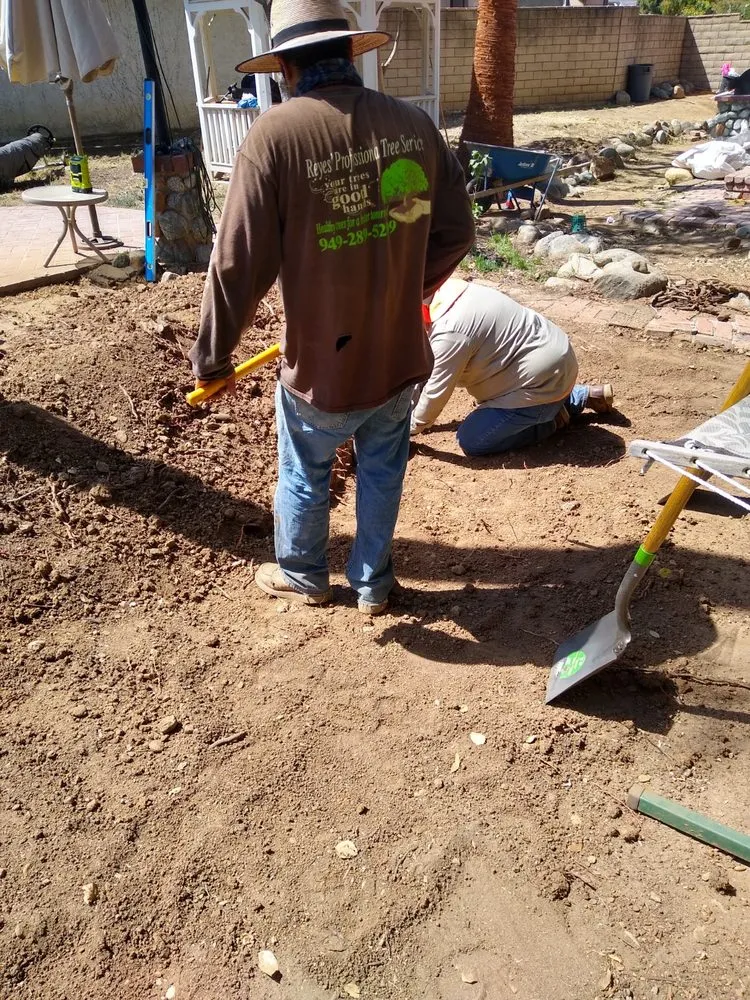 Affordable landscape design for outdoor upgrades in Fullerton, CA by Reyes Professional Tree Services