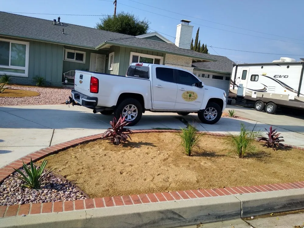 Professional yard cleanup service in Fullerton, CA - Reyes Professional Tree Services