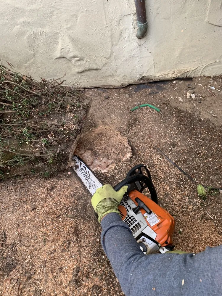 Local yard cleanup service with custom design in Seaside, CA by Reyes Projects