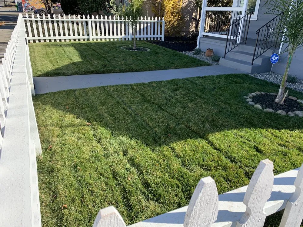 Affordable yard cleanup service for year-round maintenance across Seaside, CA - Reyes Projects