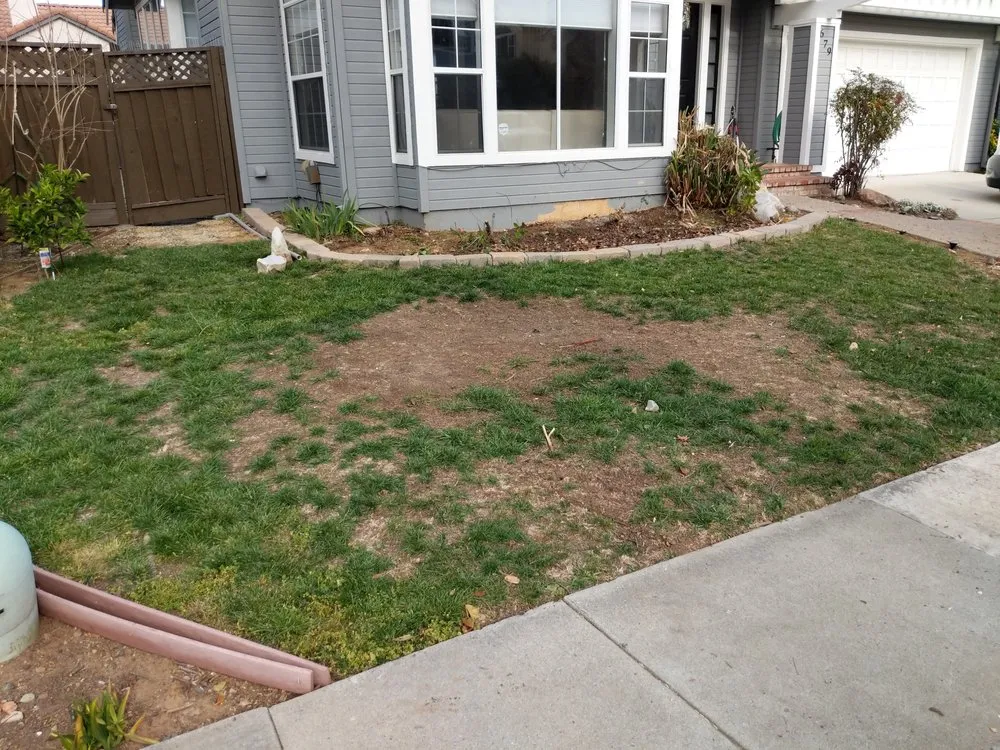 Trusted residential landscaping in Seaside, CA by Reyes Projects