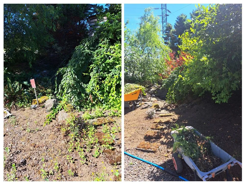 Local landscape installation with custom design across Vancouver, WA - Reyes Sierra Yard Care