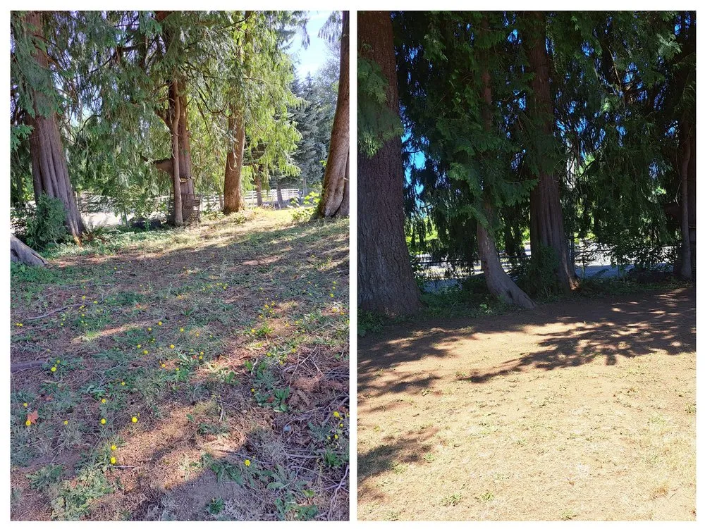 Top-rated landscaping services in Vancouver, WA - Reyes Sierra Yard Care