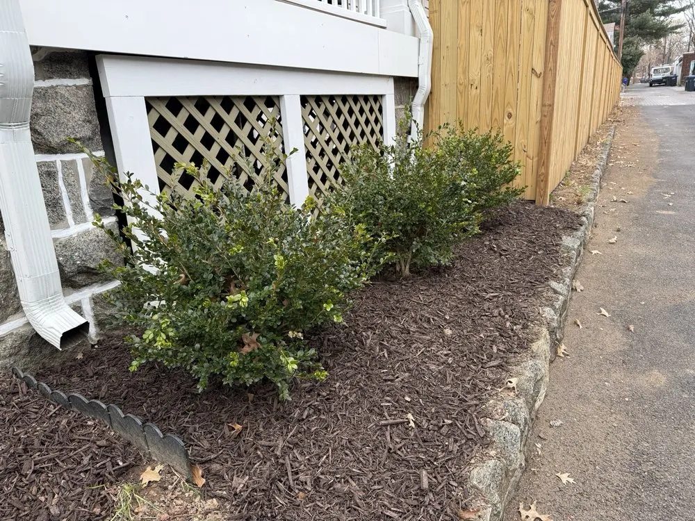 Reliable lawn mowing service experts serving Washington DC, DC - Reyes Solutions