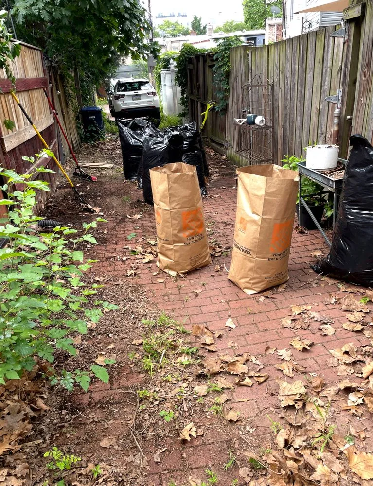 Reliable landscape design for outdoor upgrades across Washington DC, DC - Reyes Solutions