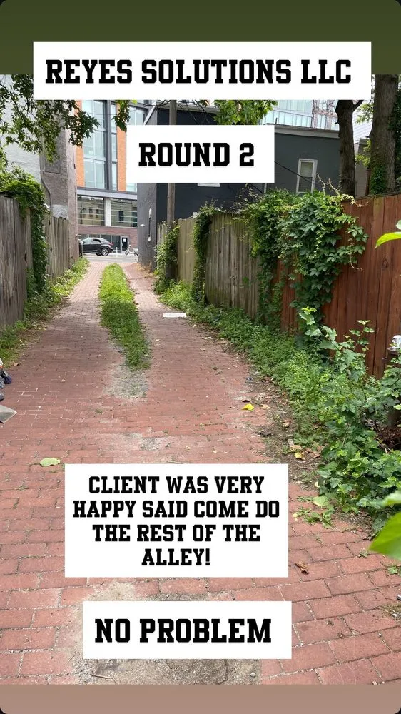 Expert outdoor landscaping near you in Washington DC, DC by Reyes Solutions