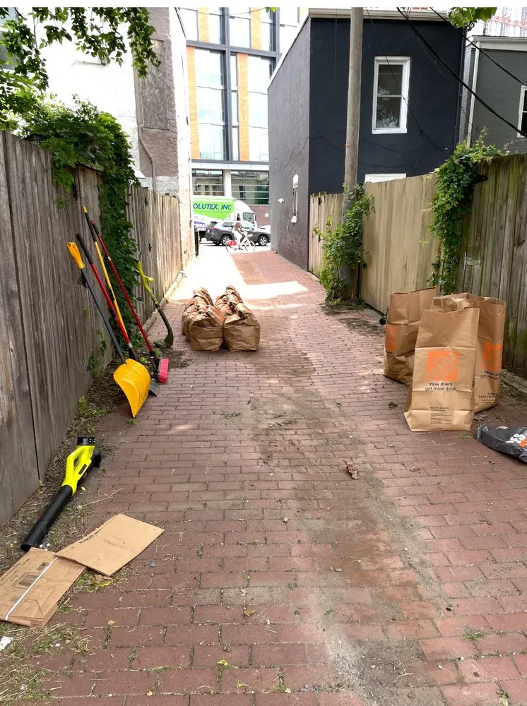 Local lawn care service for outdoor upgrades across Washington DC, DC - Reyes Solutions