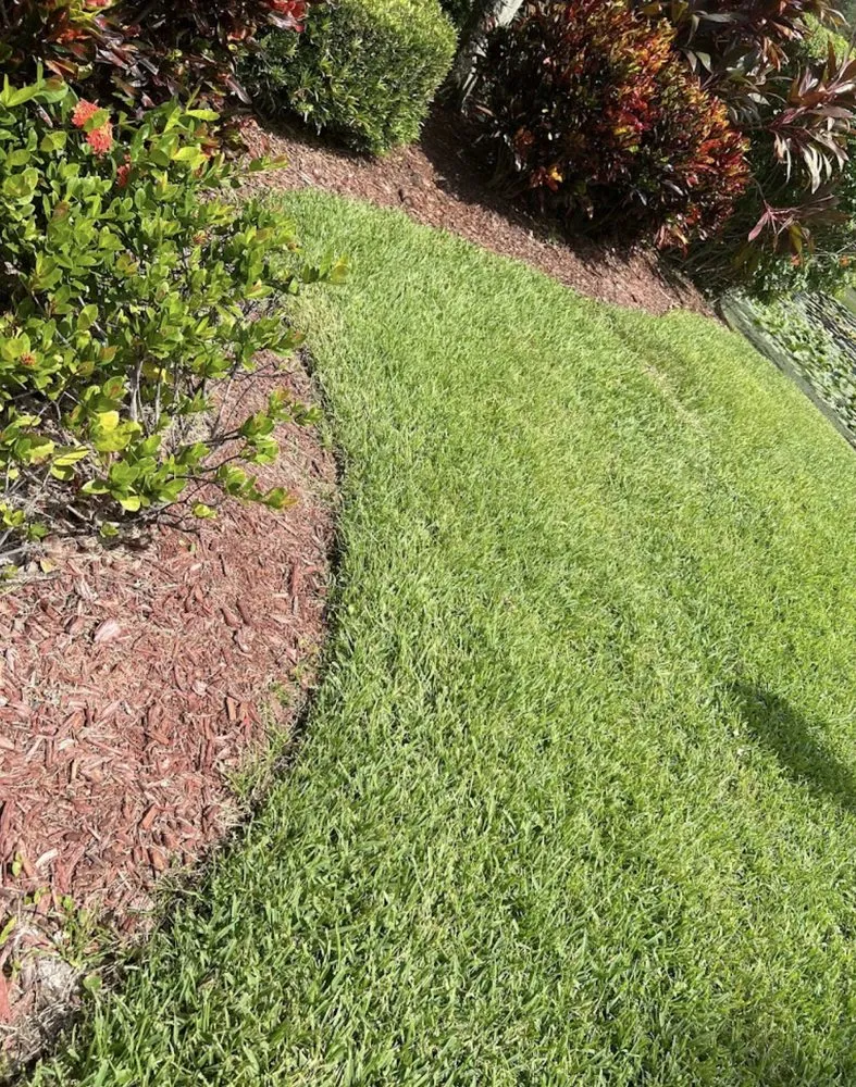 Custom yard maintenance experts serving Tampa, FL - REYES The Landscaper
