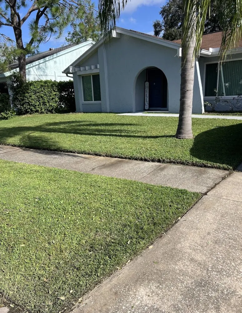 Local garden landscaping in Tampa, FL - REYES The Landscaper