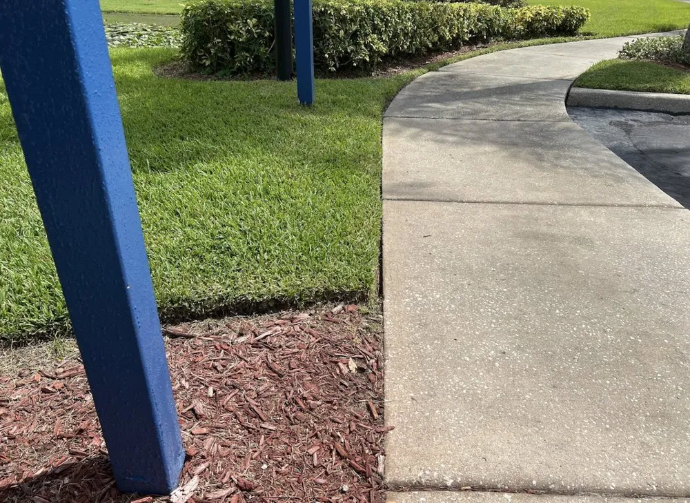 Custom outdoor landscaping in Tampa, FL by REYES The Landscaper