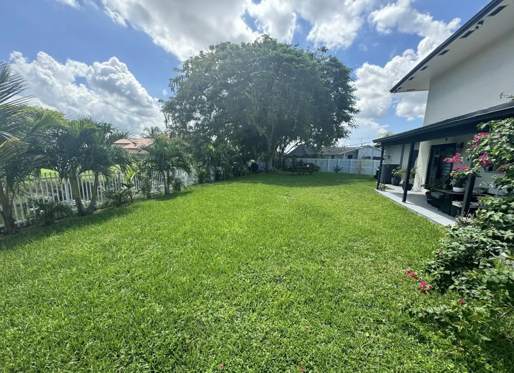 Custom outdoor landscaping in Tampa, FL - REYES The Landscaper