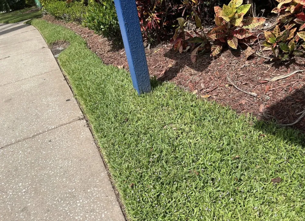 Top-rated landscaping services for year-round maintenance in Tampa, FL by REYES The Landscaper