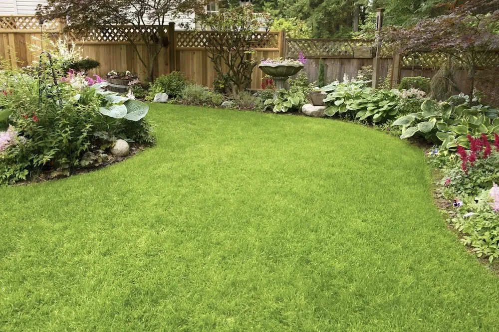 Expert lawn mowing service in Tampa, FL by REYES The Landscaper