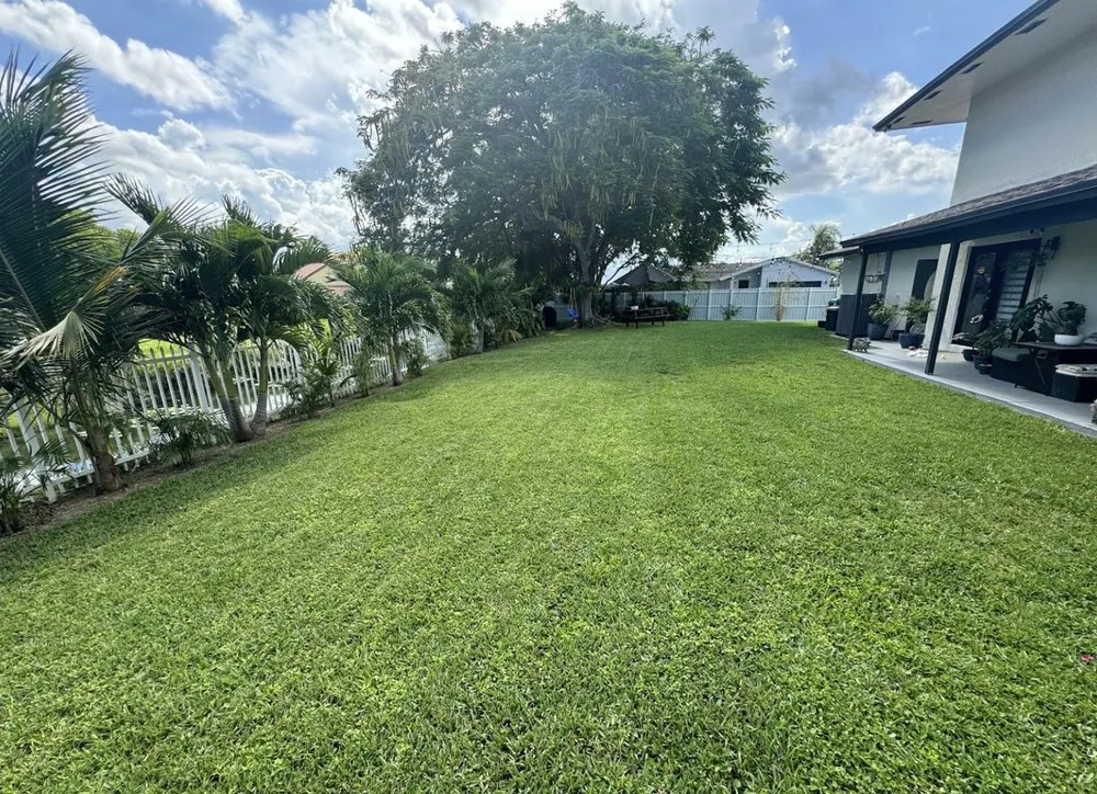 Local landscape design near you in Tampa, FL by REYES The Landscaper