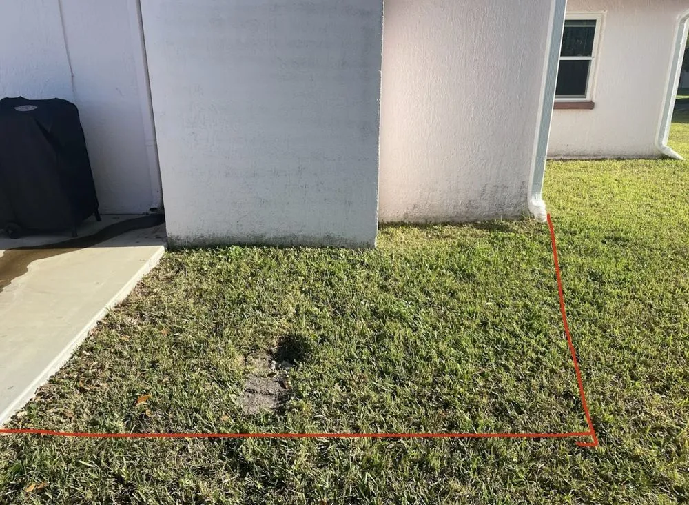 Top-rated landscaping services in Tampa, FL by REYES The Landscaper