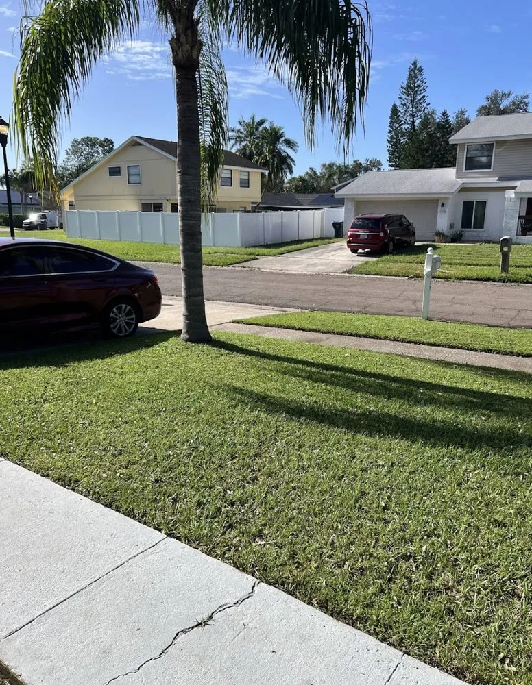 Reliable garden landscaping in Tampa, FL by REYES The Landscaper