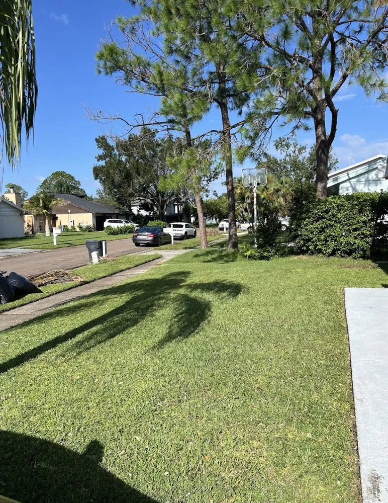 Top-rated lawn mowing service experts serving Tampa, FL - REYES The Landscaper