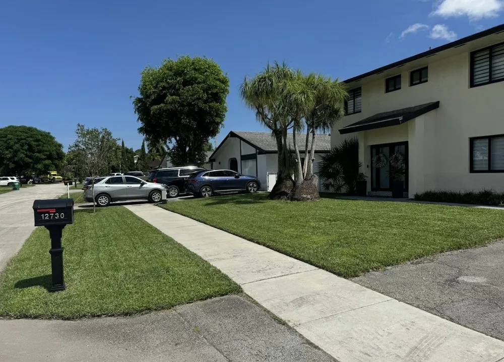 Professional yard maintenance with custom design in Tampa, FL by REYES The Landscaper