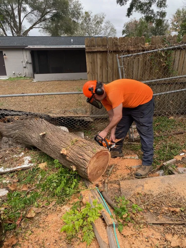Affordable yard cleanup service for beautiful yards across Brooksville, FL - Reyes Tree