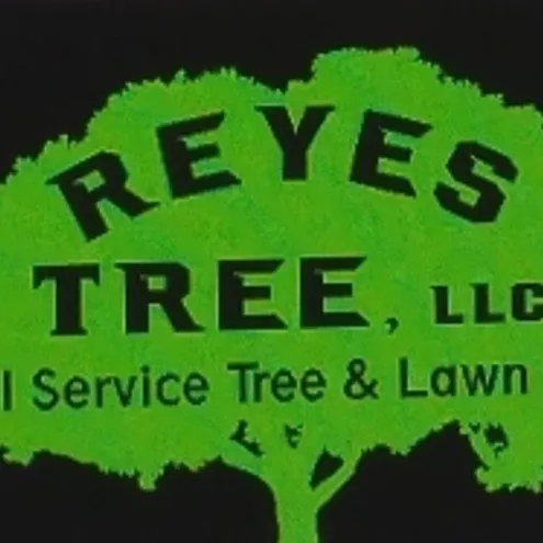 Expert yard cleanup service for beautiful yards across Brooksville, FL - Reyes Tree