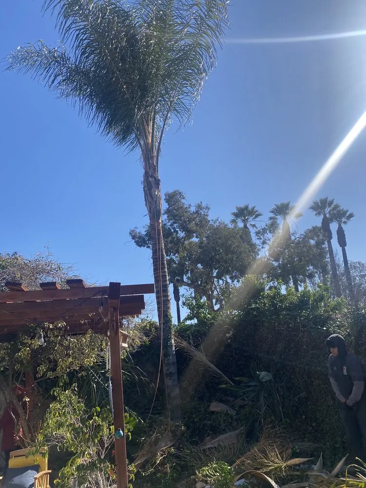 Expert landscape design in Riverside, CA - Reyes Tree Service & Landscaping