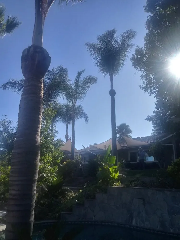 Local residential landscaping in Riverside, CA by Reyes Tree Service & Landscaping