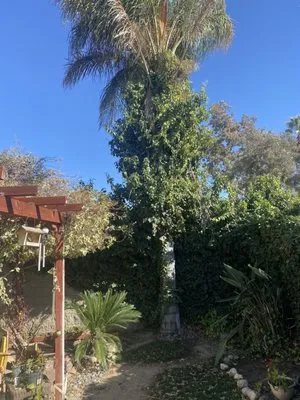 Reyes Tree Service & Landscaping Logo