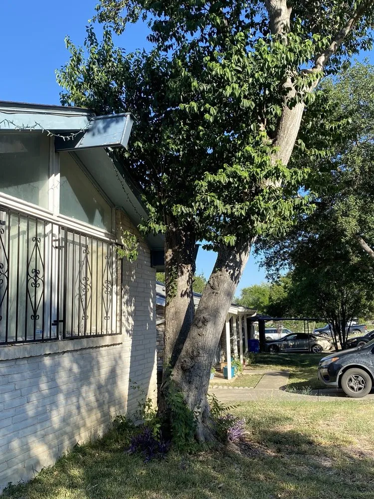 Affordable landscape design in San Antonio, TX by Reyes Tree Service