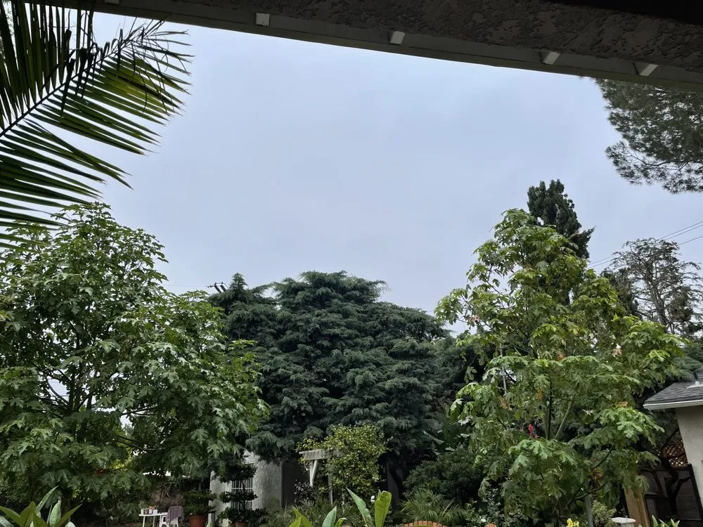 Affordable outdoor landscaping in Northridge, CA - Reyes Tree Services