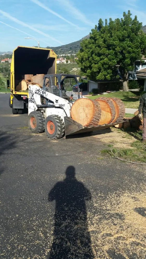 Professional landscape installation in Northridge, CA by Reyes Tree Services