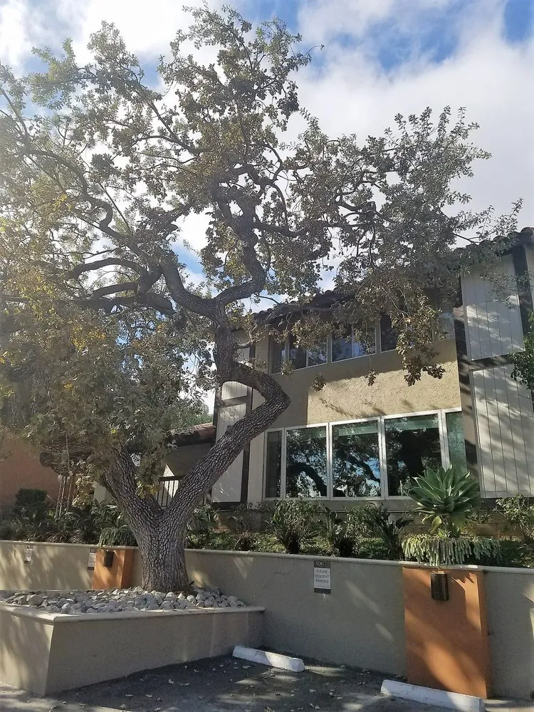 Reliable garden landscaping for beautiful yards across Northridge, CA - Reyes Tree Services