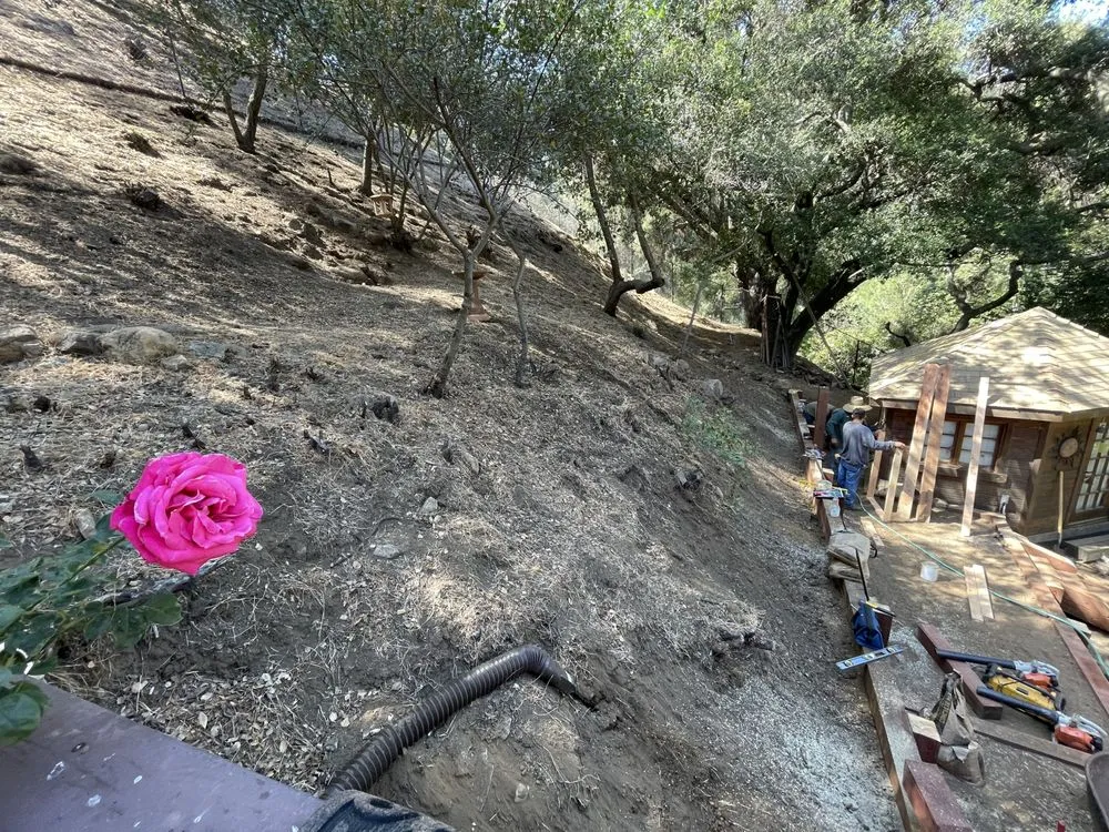 Local residential landscaping in Northridge, CA by Reyes Tree Services