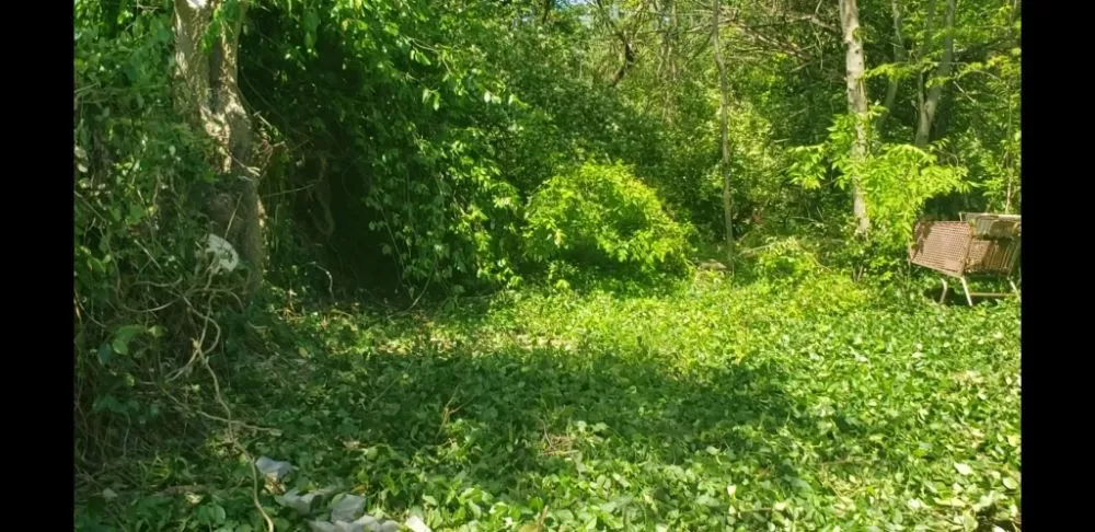 Professional lawn mowing service experts serving Shelbyville, KY - Reyes Tree Services