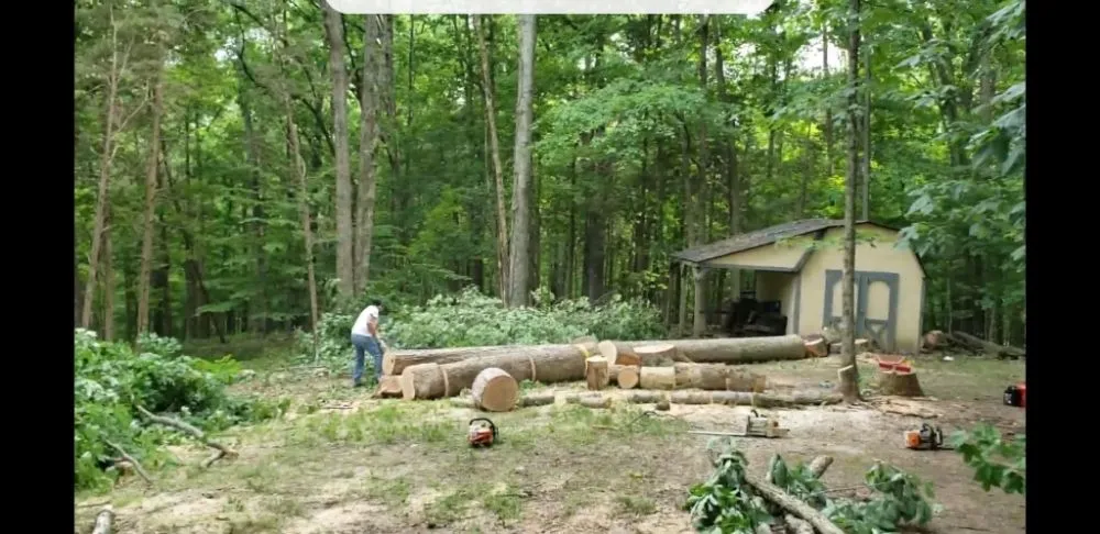 Professional lawn care service in Shelbyville, KY - Reyes Tree Services