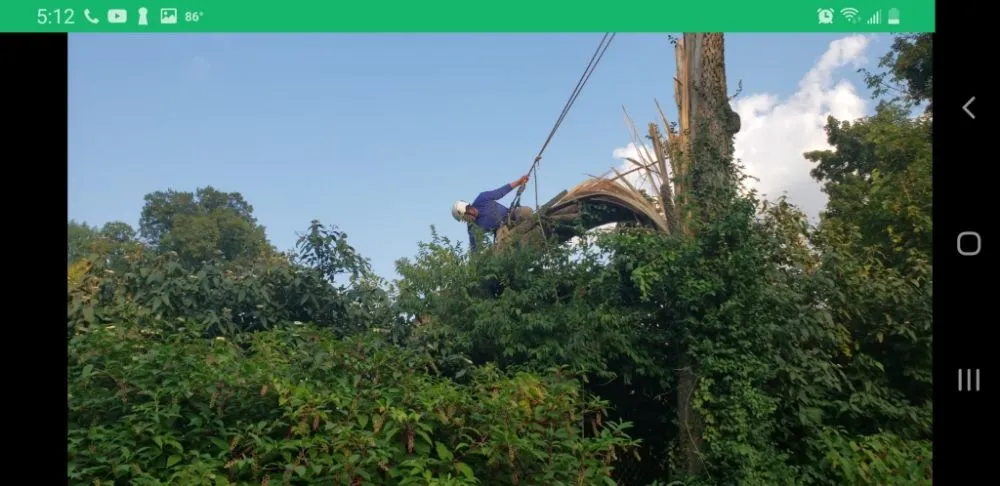 Custom outdoor landscaping in Shelbyville, KY by Reyes Tree Services