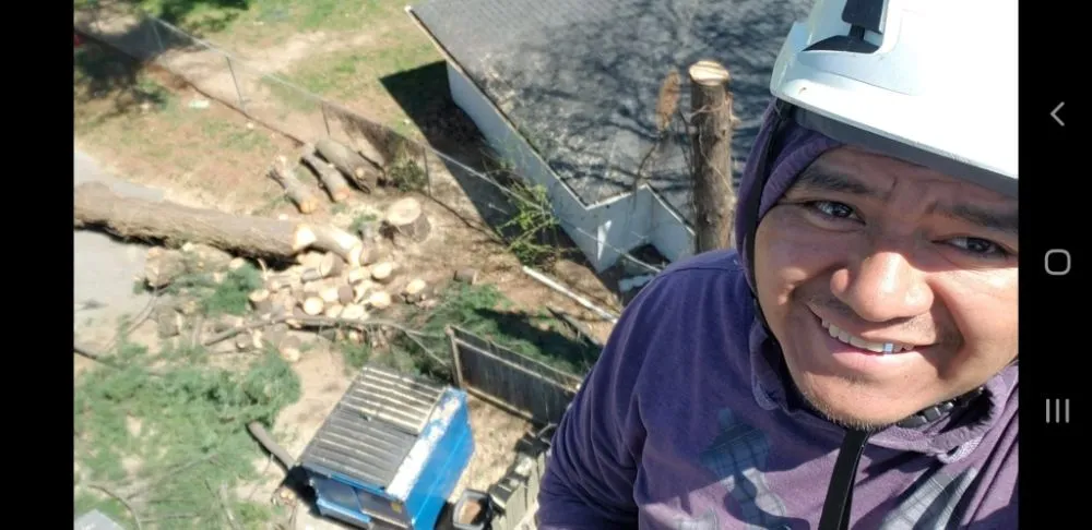 Affordable landscape design for homes across Shelbyville, KY - Reyes Tree Services