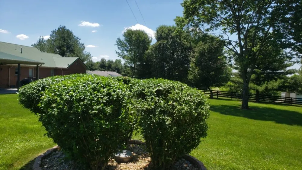 Local landscape installation for year-round maintenance across Shelbyville, KY - Reyes Tree Services