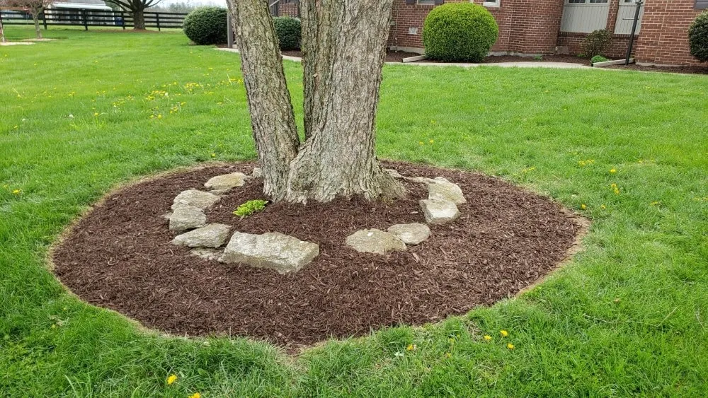 Expert garden landscaping with custom design across Shelbyville, KY - Reyes Tree Services