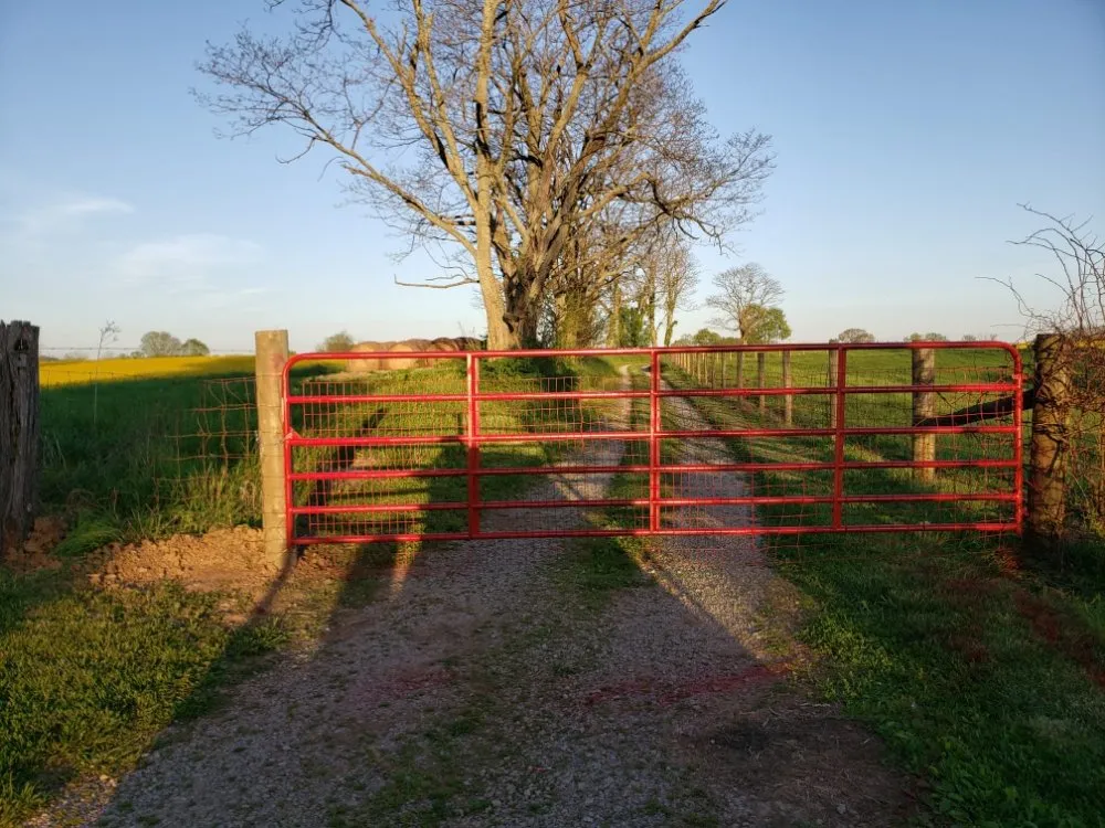 Custom landscape design for beautiful yards across Shelbyville, KY - Reyes Tree Services