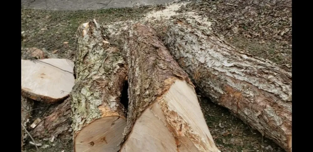 Local yard maintenance near you in Shelbyville, KY by Reyes Tree Services