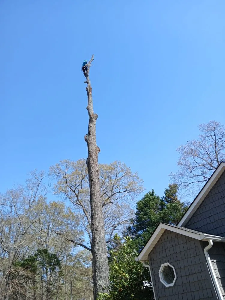 Affordable landscaping services in Lizella, GA - Reyes Y Lopez Landscaping