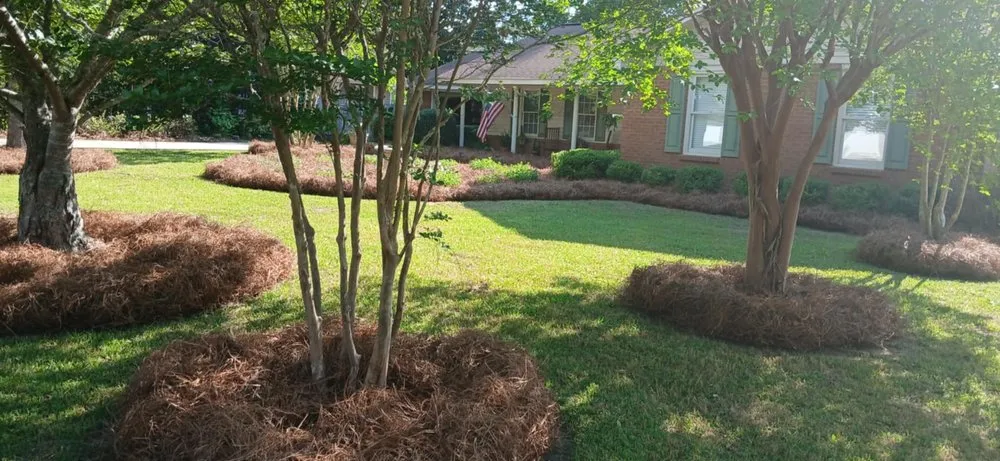Trusted outdoor landscaping experts serving Lizella, GA - Reyes Y Lopez Landscaping