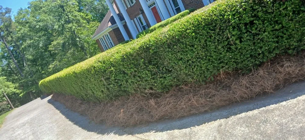 Professional landscaping services for residential properties across Lizella, GA - Reyes Y Lopez Landscaping