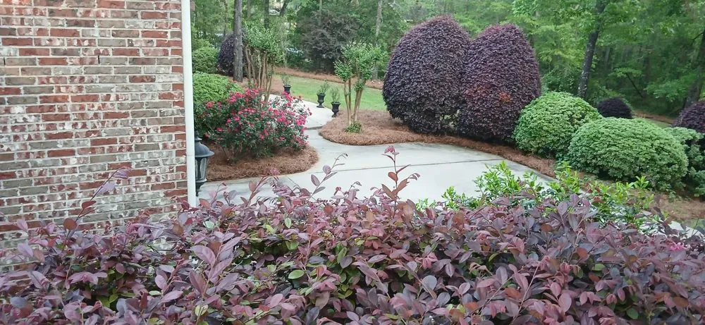 Trusted landscaping services near you in Lizella, GA by Reyes Y Lopez Landscaping