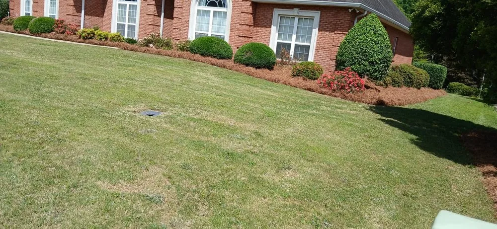Local landscape installation for homes across Lizella, GA - Reyes Y Lopez Landscaping