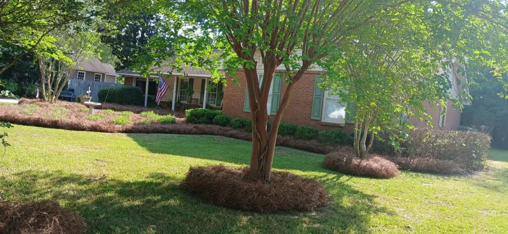 Affordable yard maintenance in Lizella, GA - Reyes Y Lopez Landscaping
