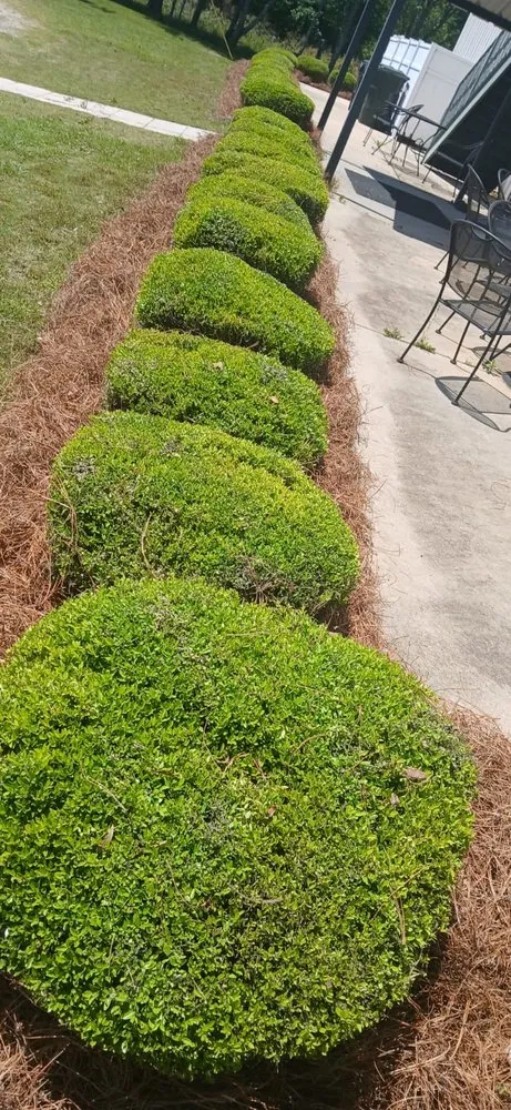 Expert yard maintenance experts serving Lizella, GA - Reyes Y Lopez Landscaping