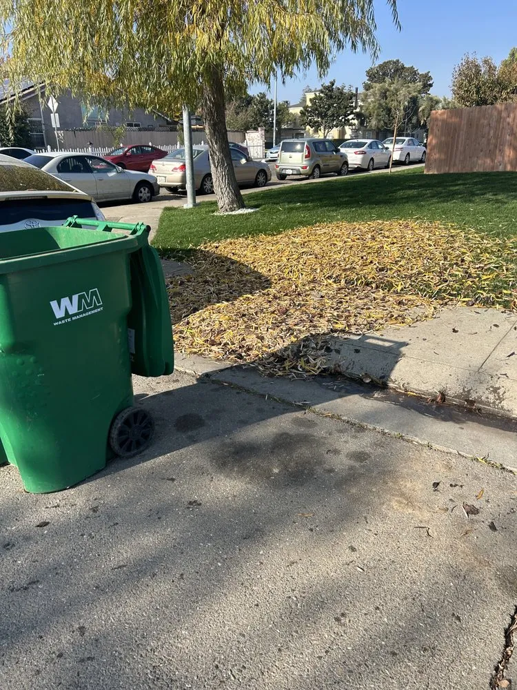 Reliable lawn care service for homes in Lodi, CA by Reyes Yard Work